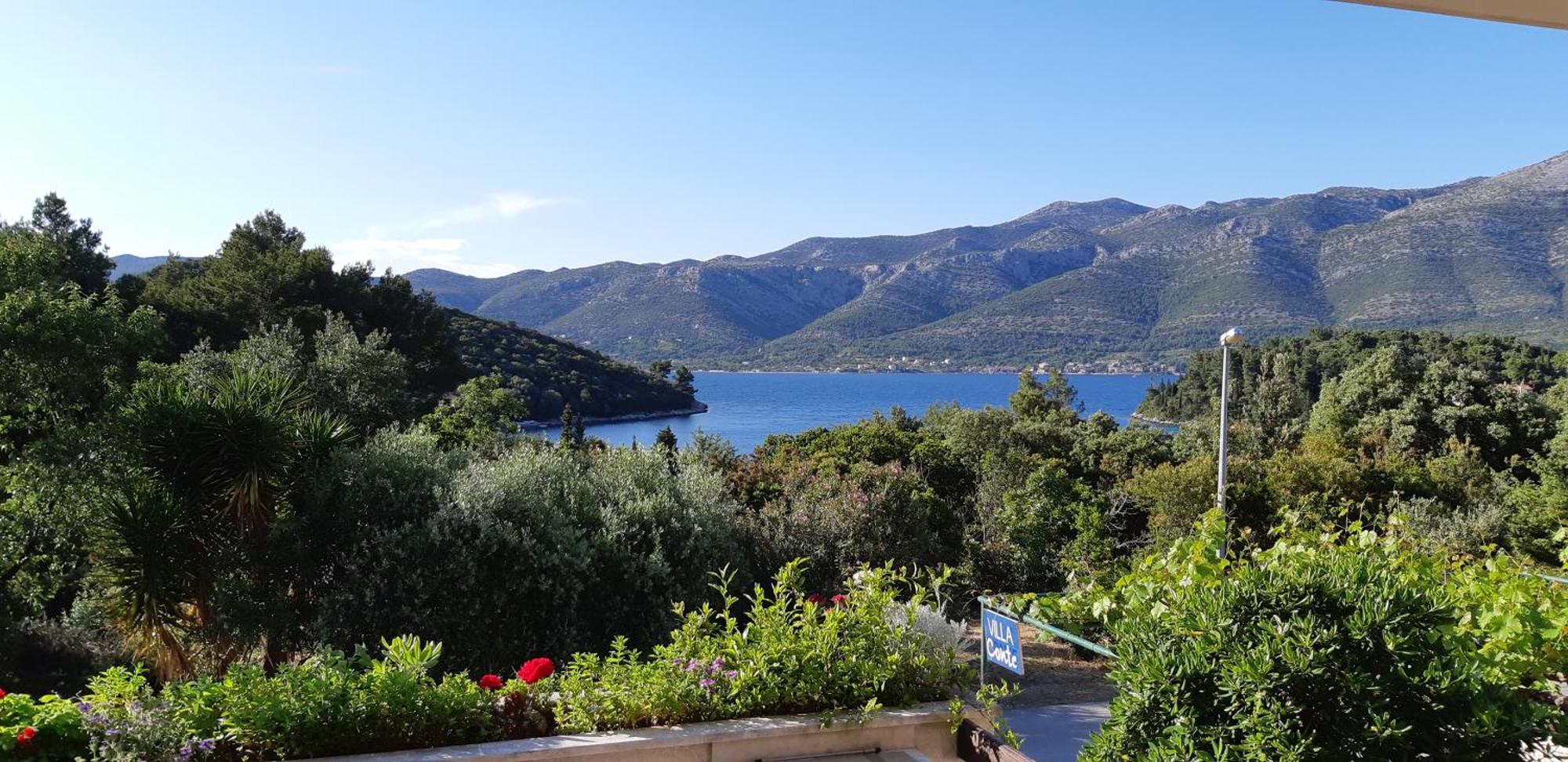 Villa Conte コルチュラ エクステリア 写真