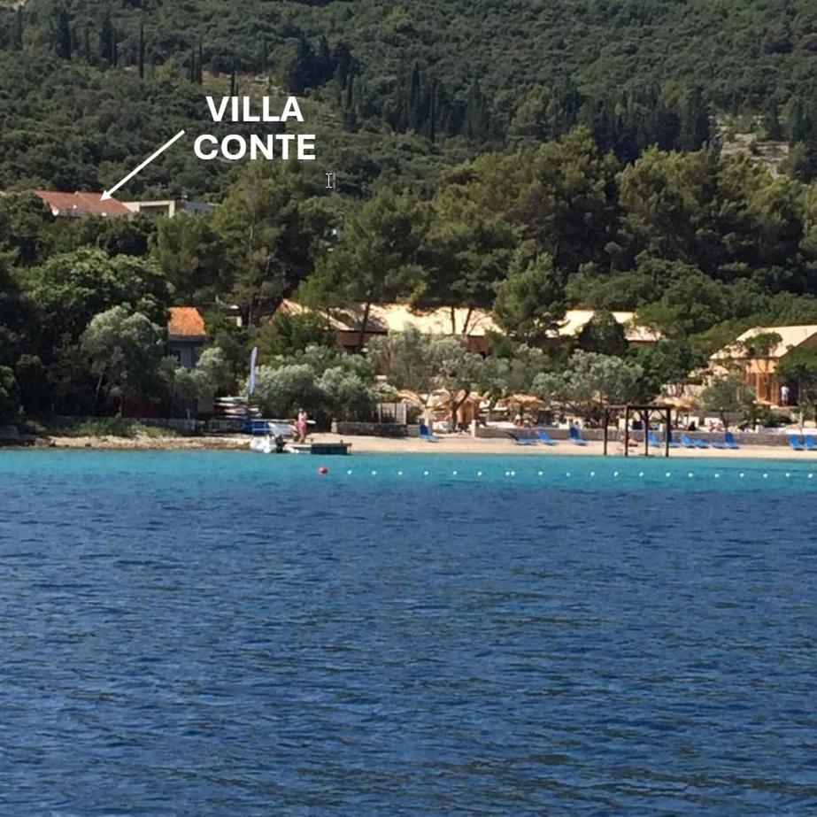 Villa Conte コルチュラ エクステリア 写真